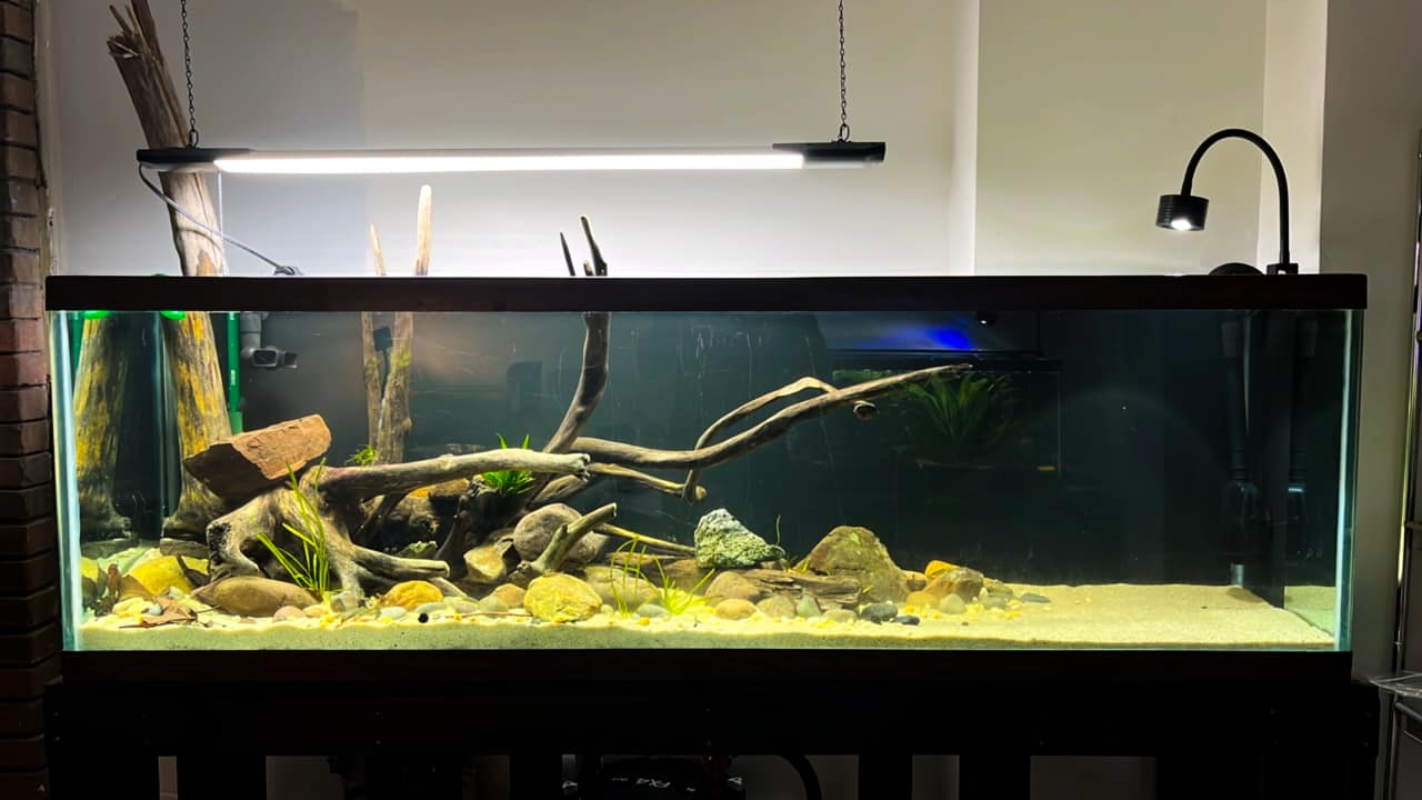 125 gallon fish tank accessories TRUVU 125L And Stand Combo this stand combines unparalleled strength and sophisticated design Clear-for-Life 125-Gallon 36"Lx36"Wx30"H Pentagon Acrylic