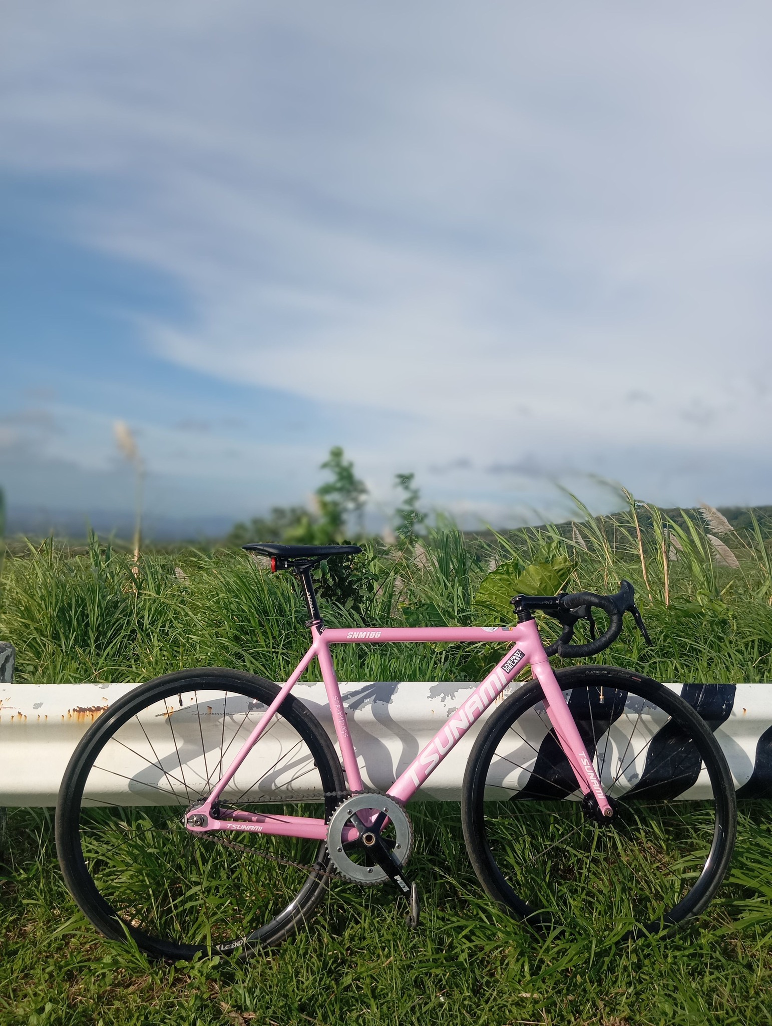 Tsunami Smm100 bike with Pizz Ob Arm crankset and Legend X Pillar