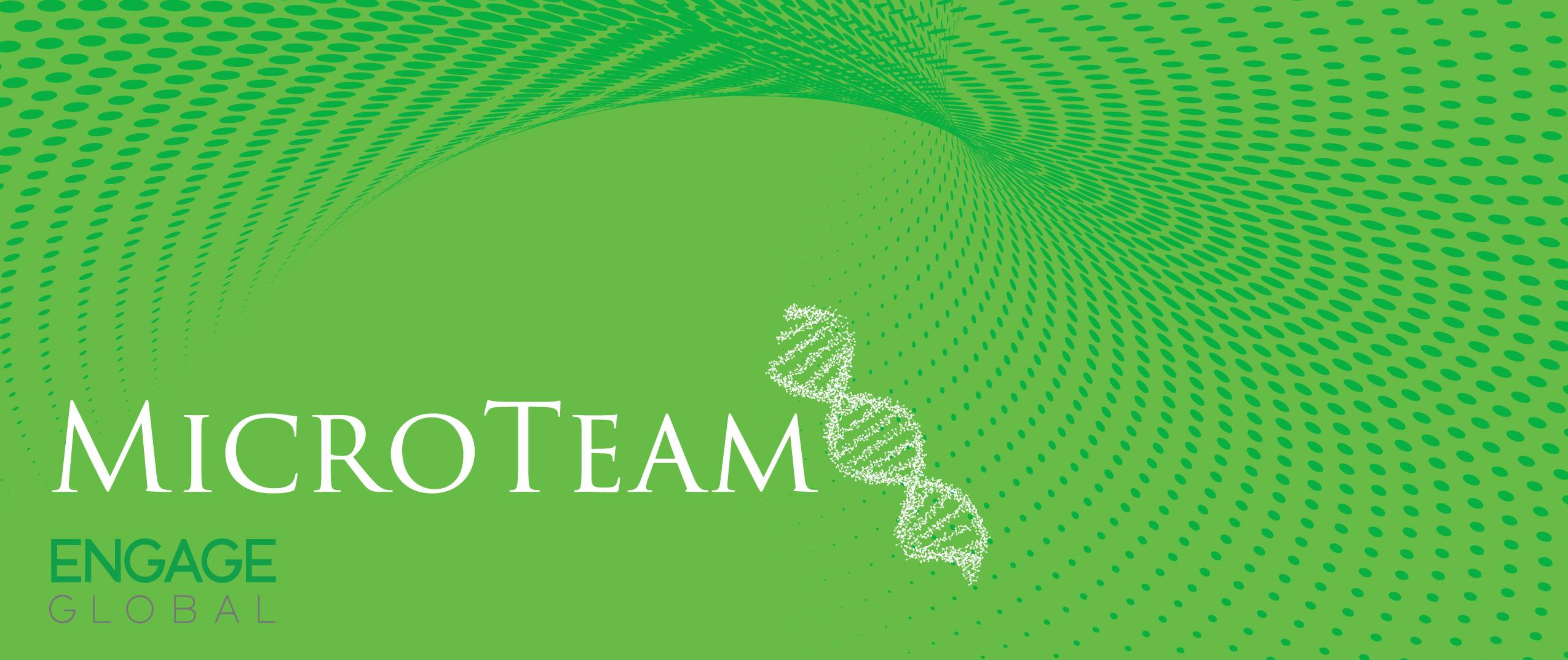 MicroTeam