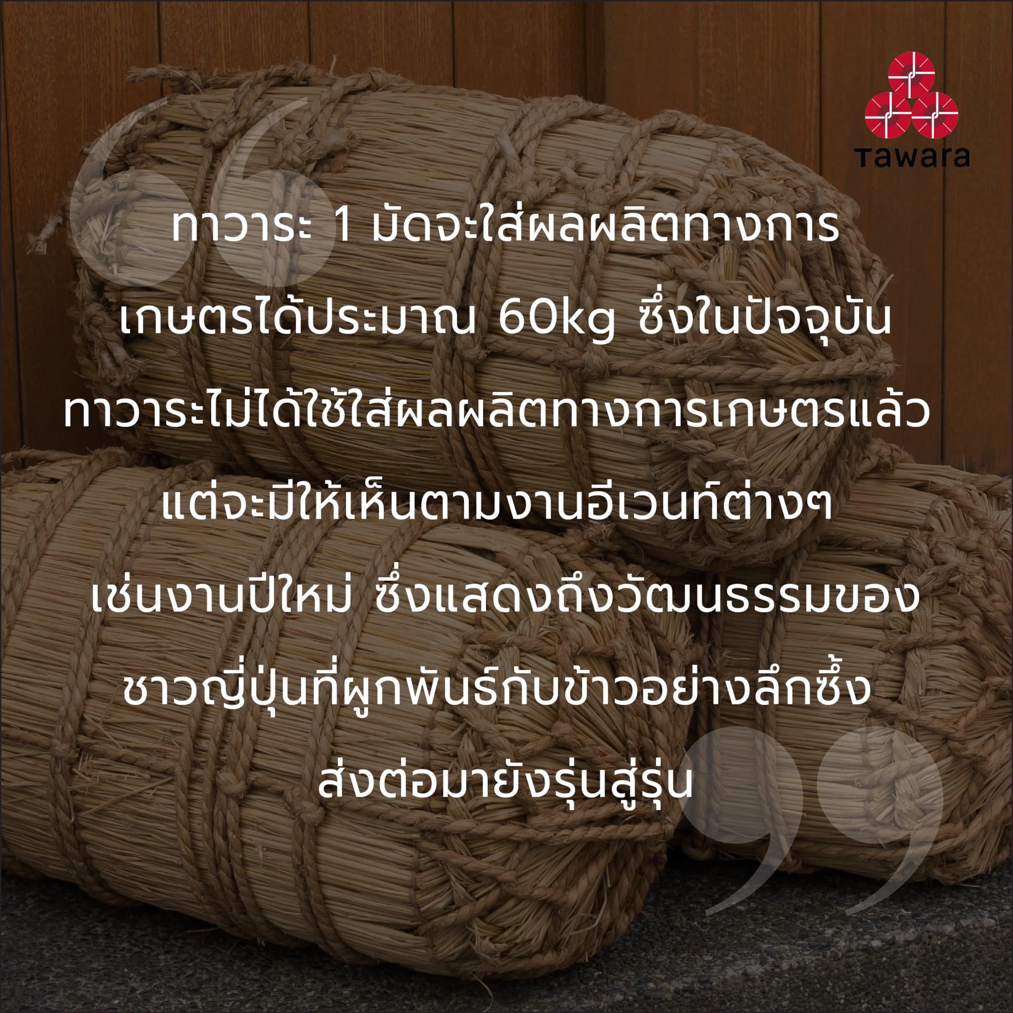 Tawara Rice ข้าวญี่ปุ่น