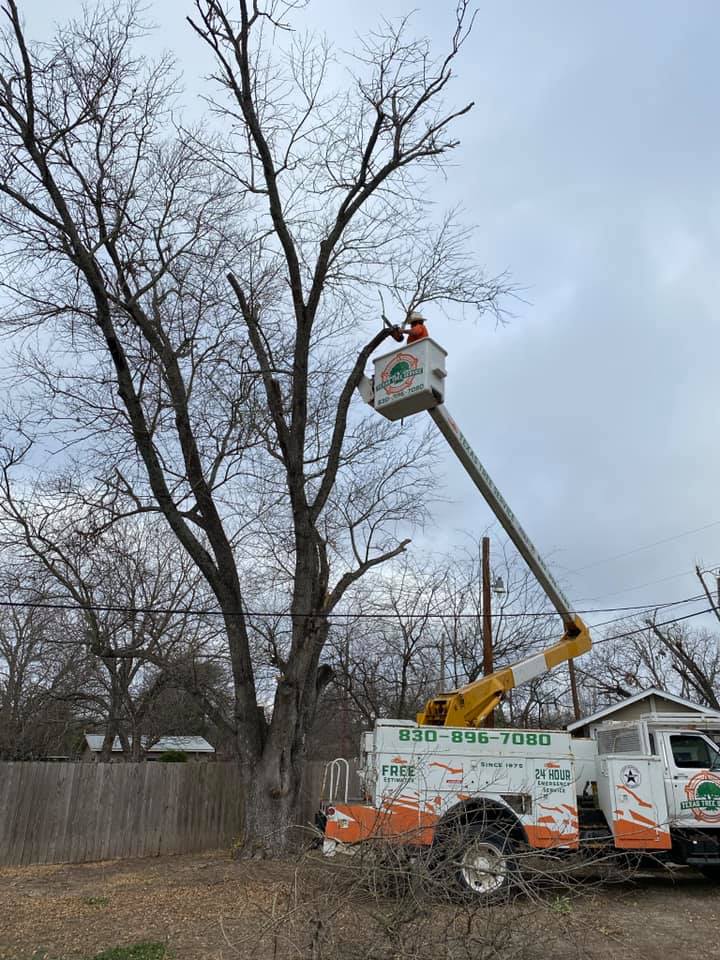 Texas Tree Service | Kerrville TX
