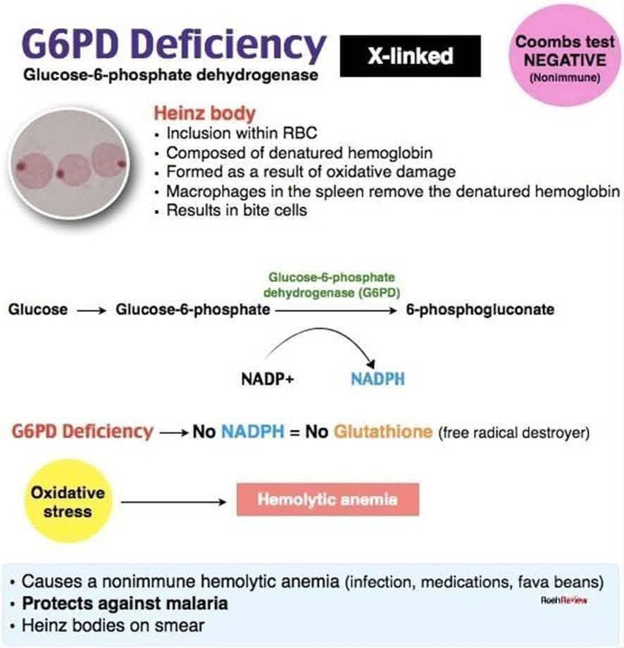 GPx4 in red blood cells reduces hemolysis