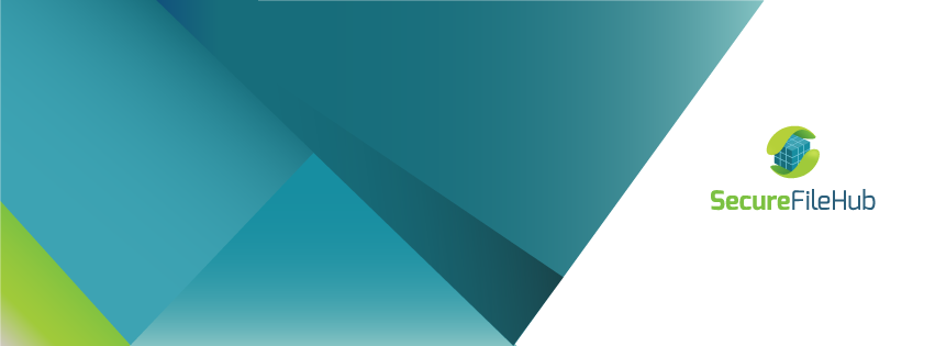Secure File Hub