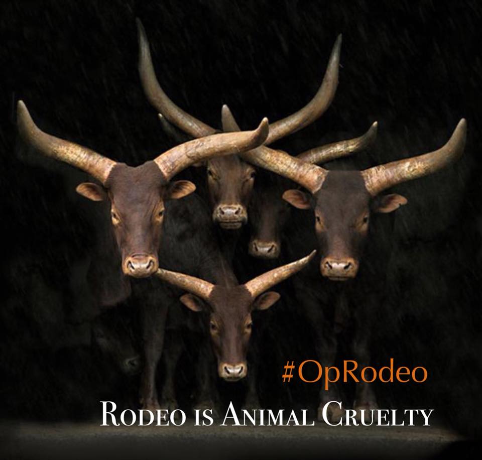 Ban Rodeo | Facebook