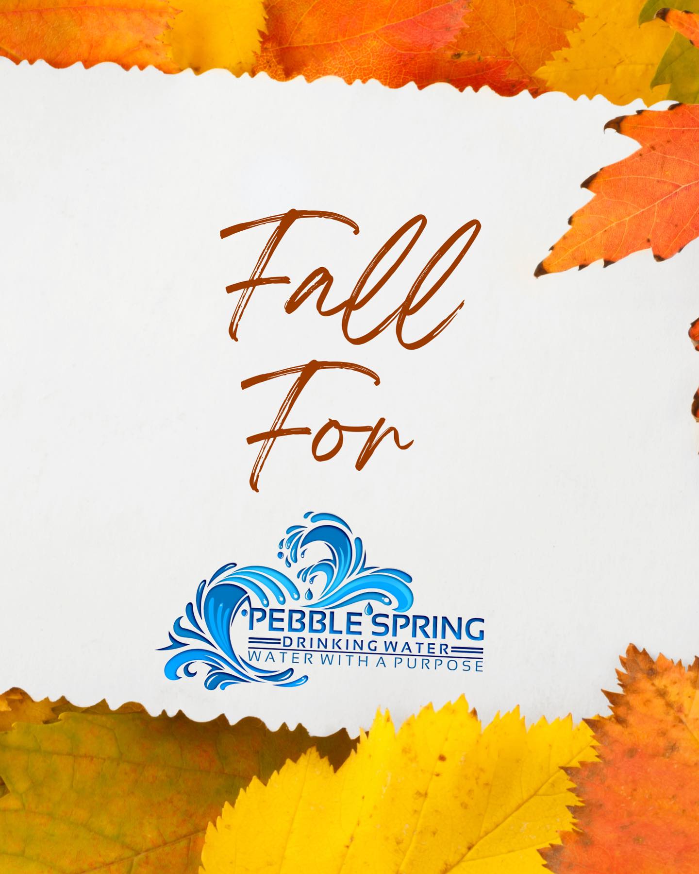🍁 Fall is upon us 🍂 Fall for Pebble... - Pebble Spring Water | Facebook