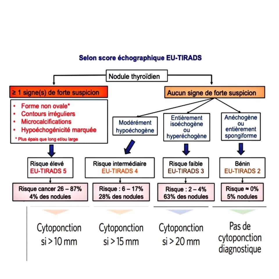 Infos - ENDOCRINOLOGIE / ÉCHOGRAPHIE. 8 / SCORE EU-TIRADS ET ...