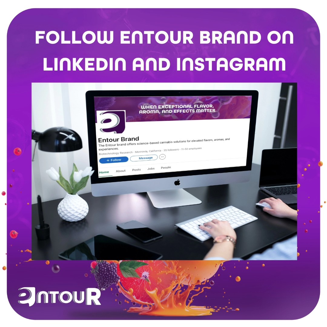 The Werc - We’re thrilled to announce that the Entour brand has its own ...