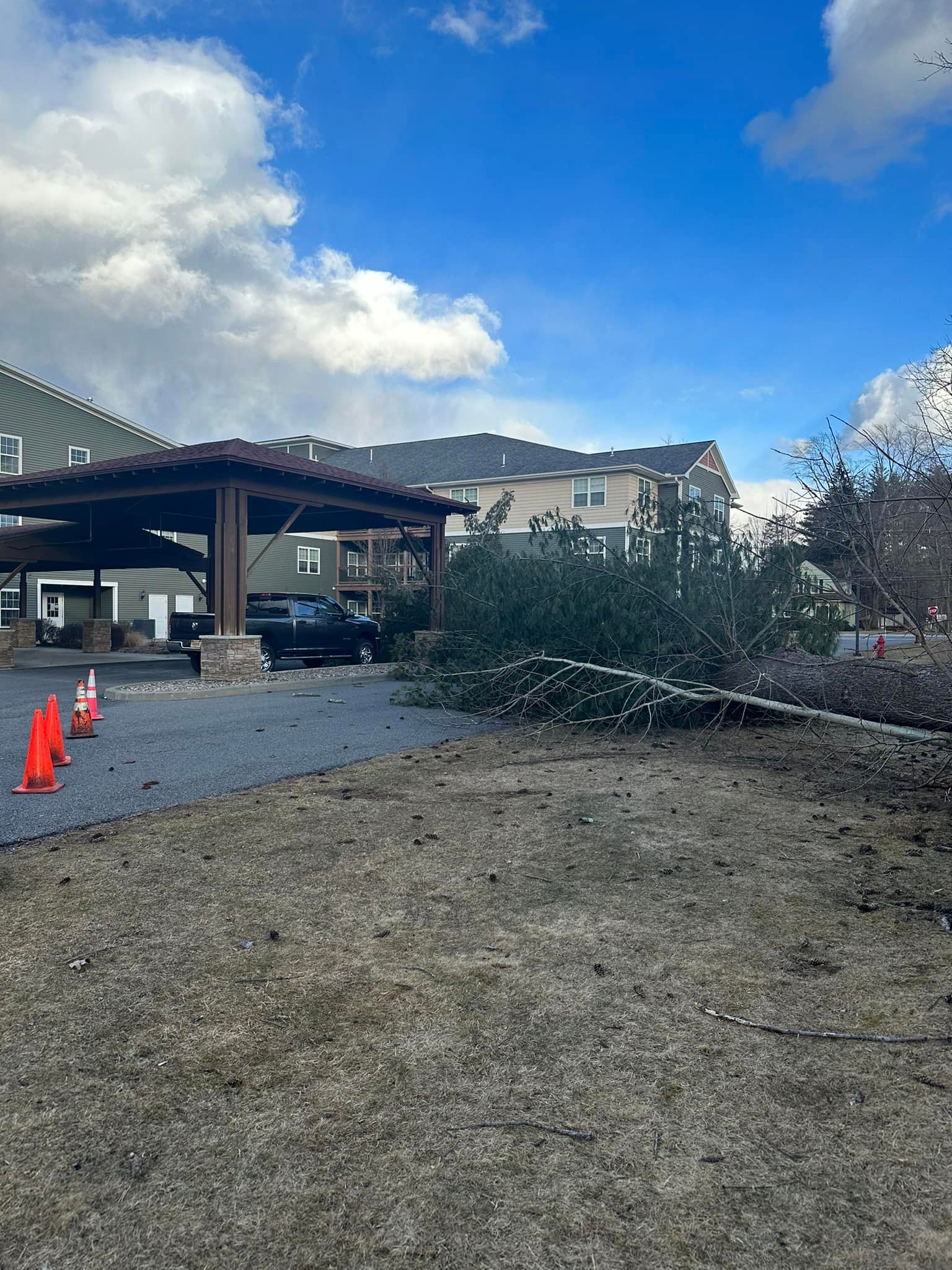 Ballston Tree & Property Services | Ballston Spa NY
