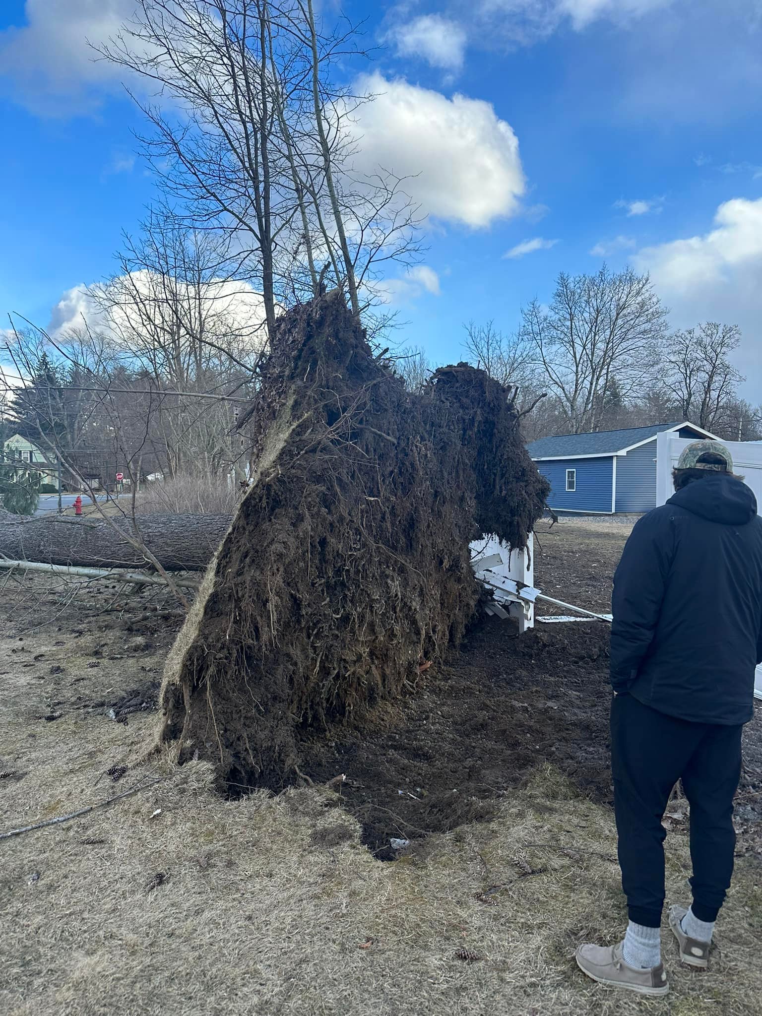 Ballston Tree & Property Services | Ballston Spa NY