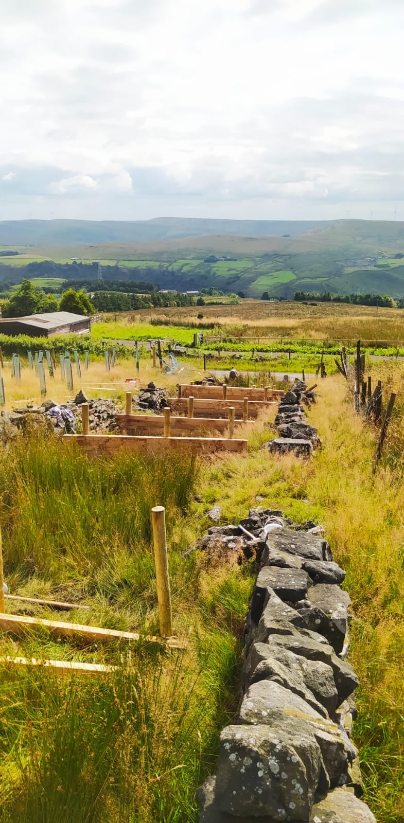 Forus Tree - Stunning scenery as we build leaky dams up at...