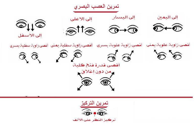 Slon Motiv Ogledalo Na Vratata تمارين للعين لتقوية النظر والتخلص من النظارة Loneponydesign Com