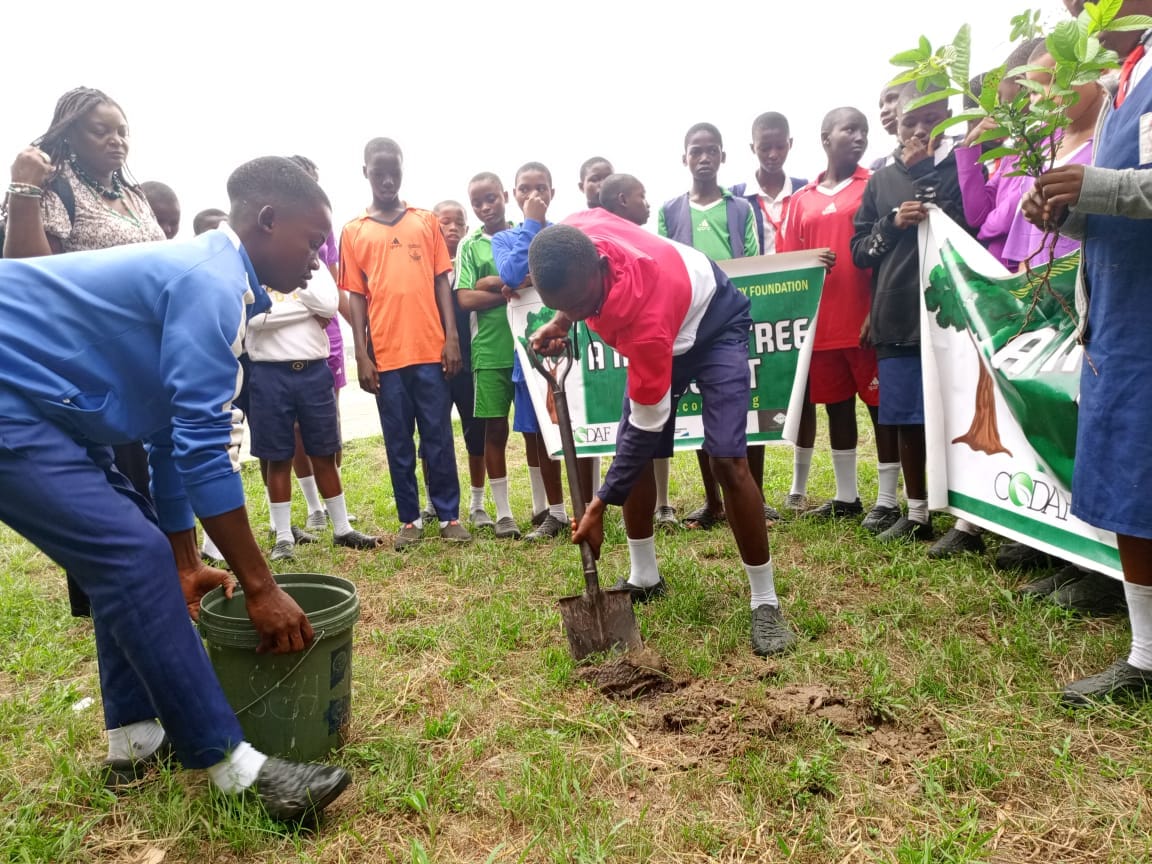 A Million Tree Project