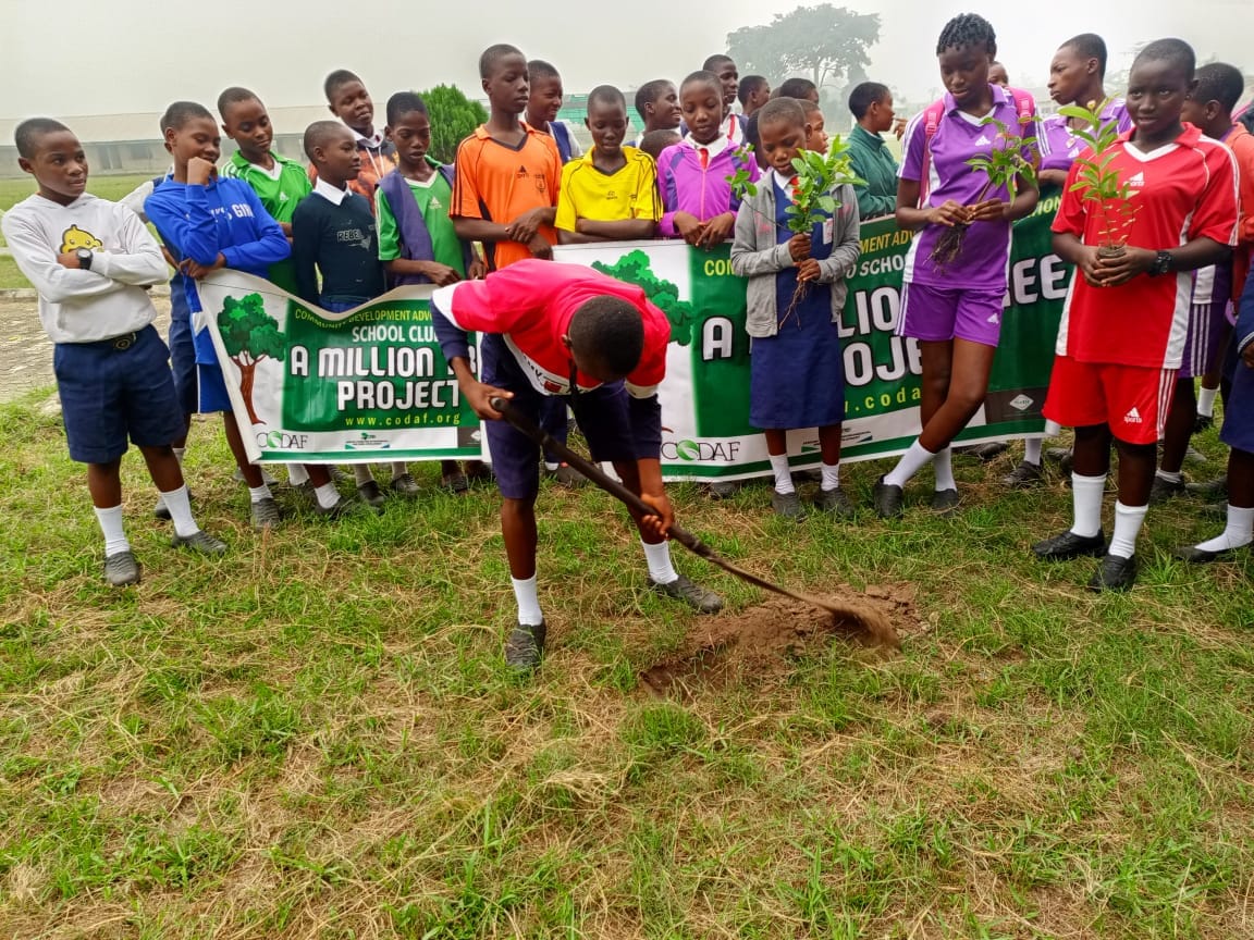 A Million Tree Project