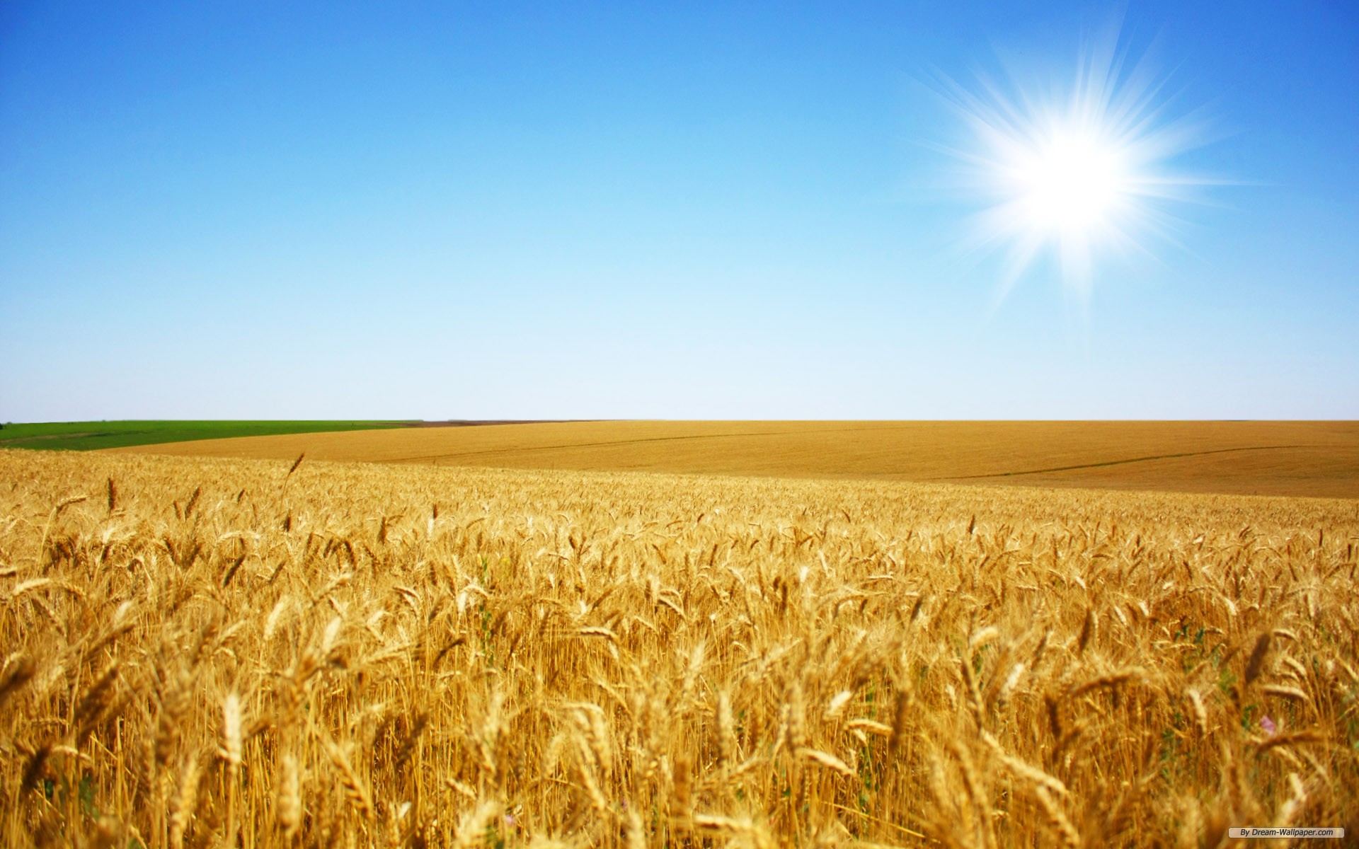 Deon Stein - The Bible declares that before the coming of... | Facebook