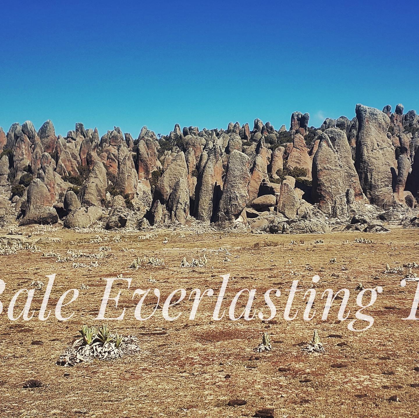 The Bale Mountains were formed... - Bale Everlasting Tours