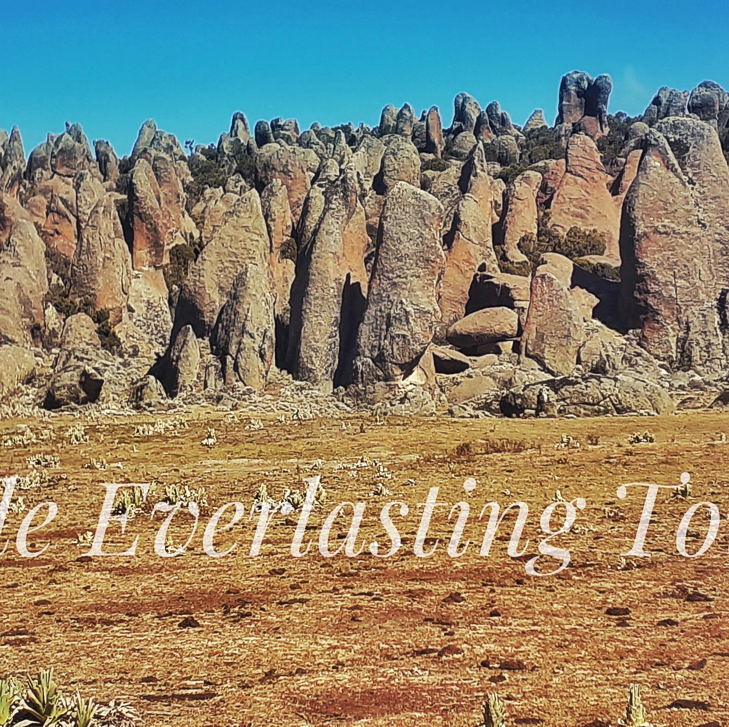 The Bale Mountains were formed... - Bale Everlasting Tours | Facebook