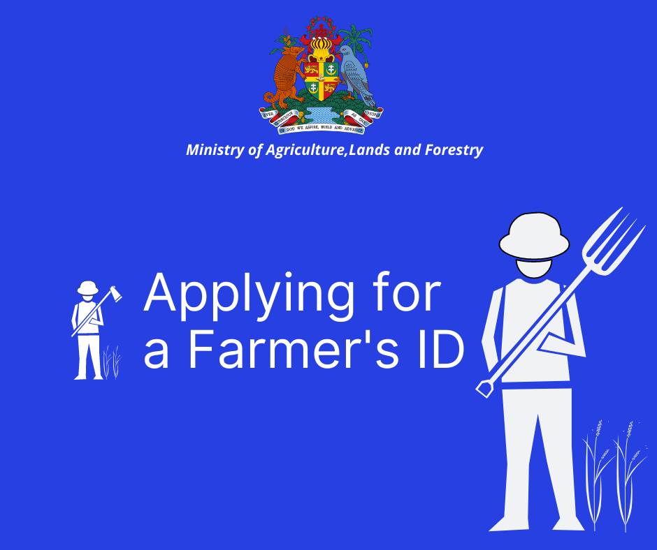 One of our... - Ministry of Agriculture, Lands and Forestry | Facebook