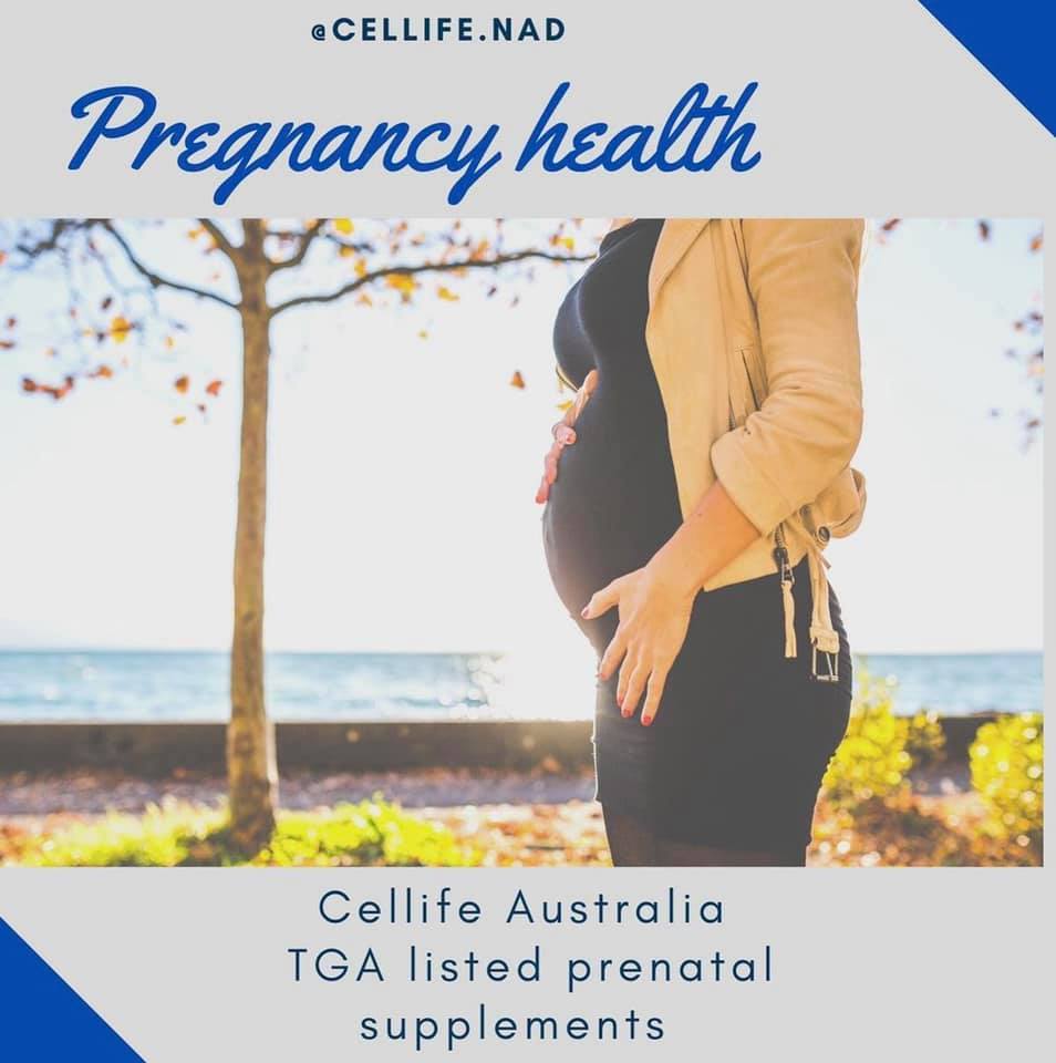Cellife | Bondi Junction NSW