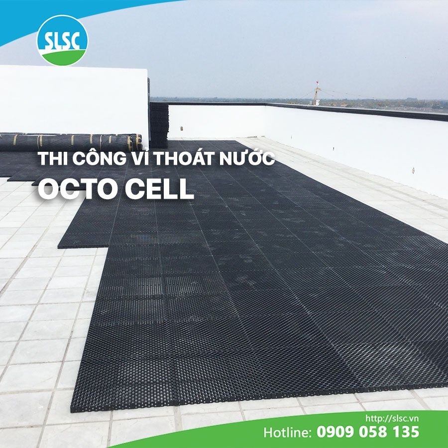 SLSC Vietnam - SLSC Vietnam added a new photo.