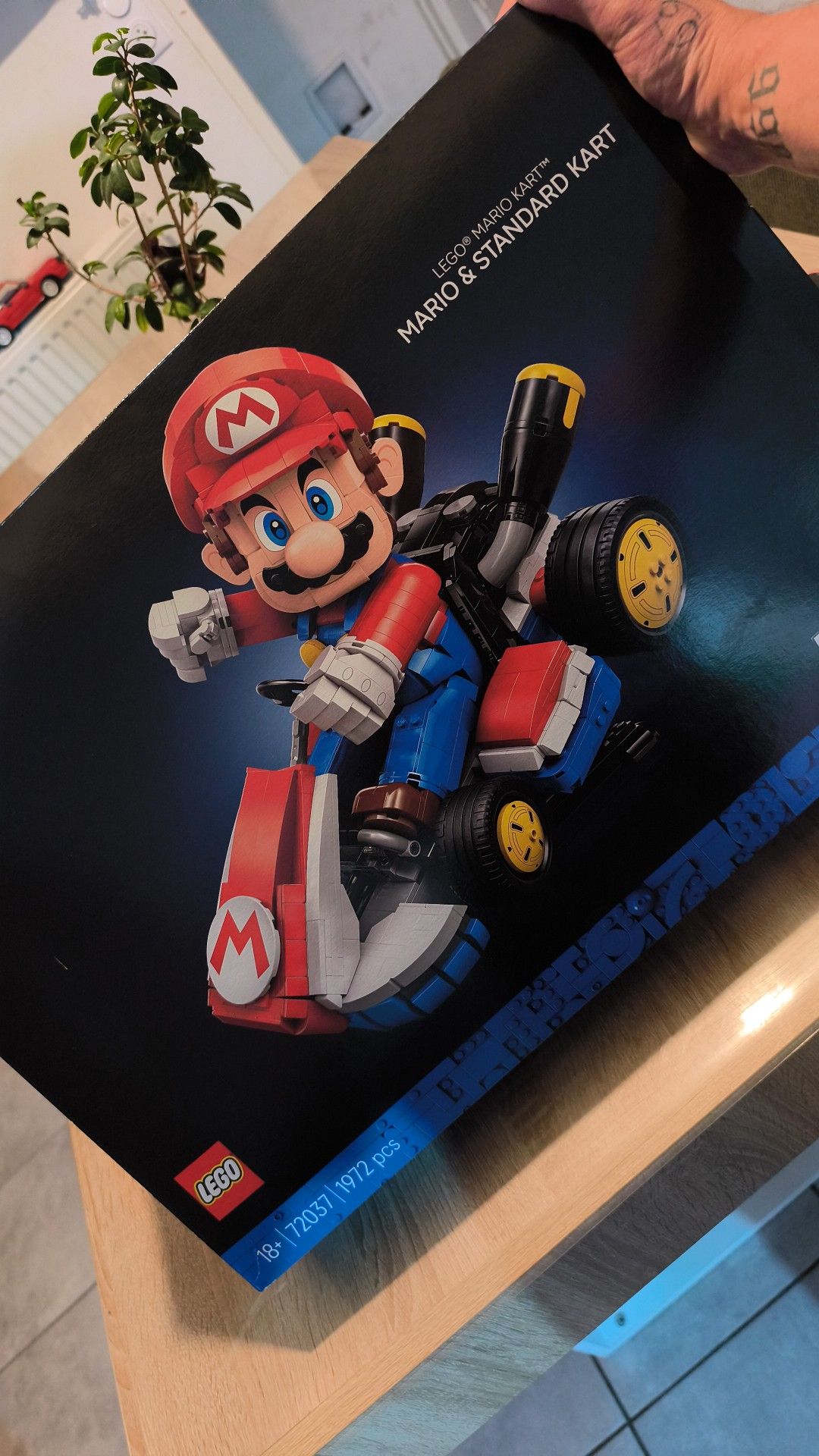 KART MARIO EGO & STANDARD MARIO&STANDARD MARIO ززن ٣ MI MIy Μ LEGO