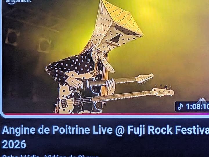 ANGINE DE POITRINE's electrifying Fuji Rock performance in Japan