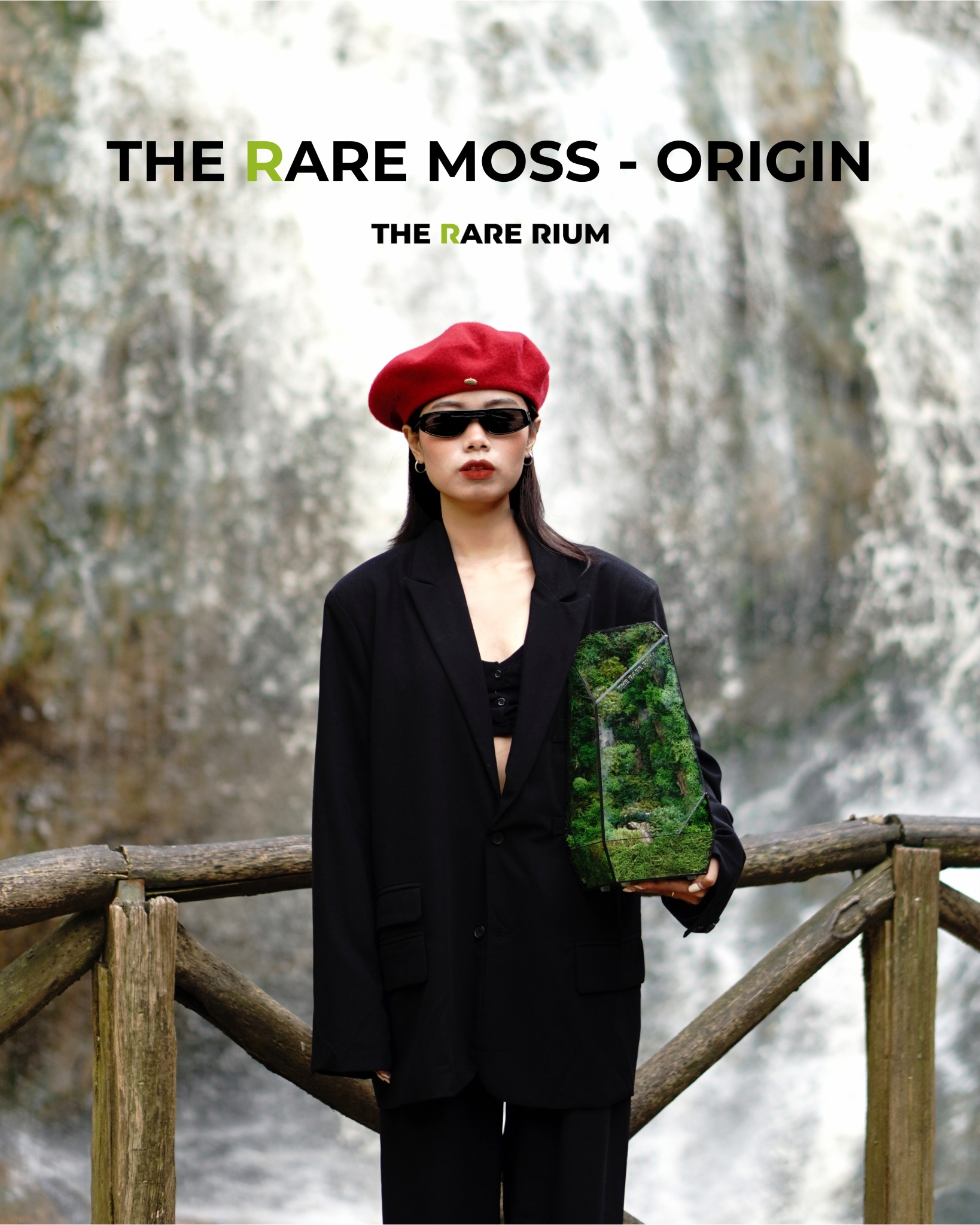 Một khung cảnh tự... - The Rare Rium - Plant & Moss Art