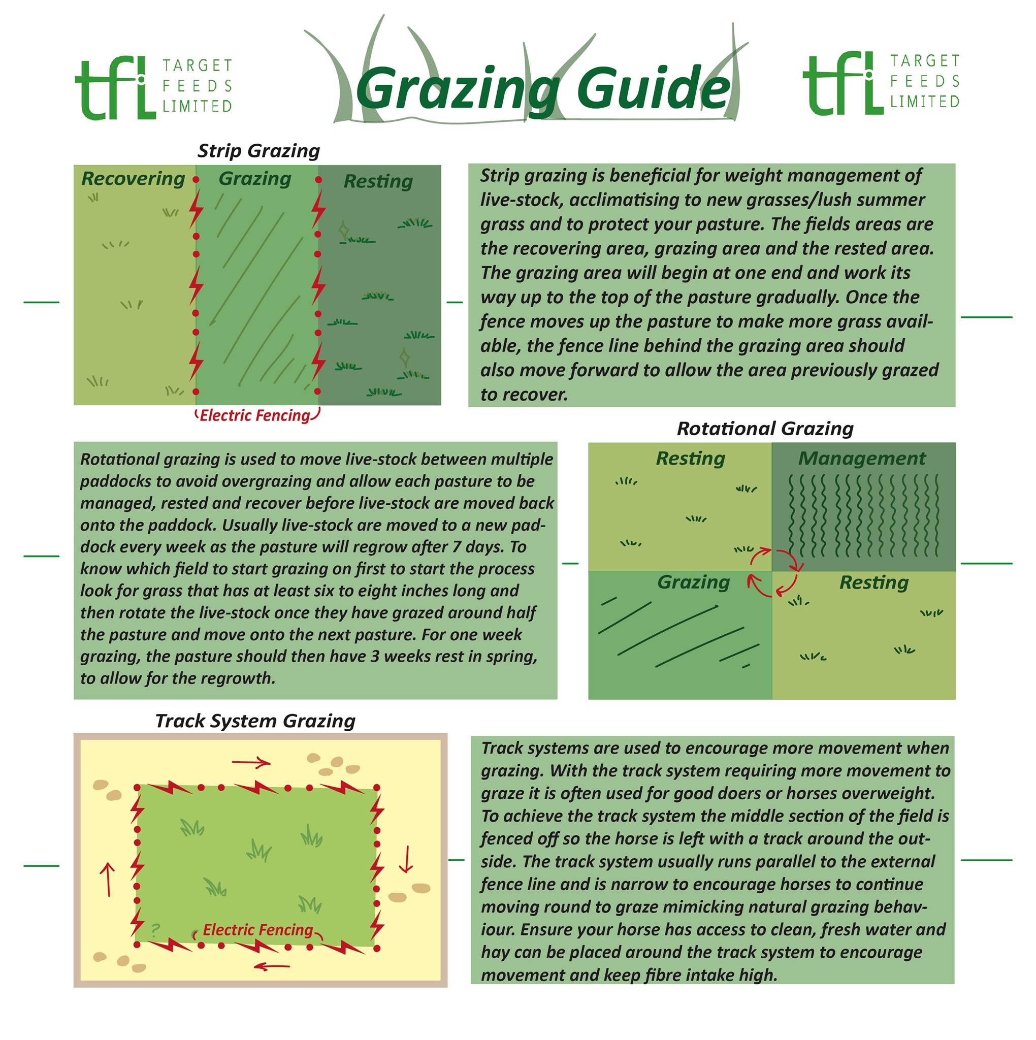 Have a look at our grazing guide!🌿🐮🐴... - Target Feeds Ltd