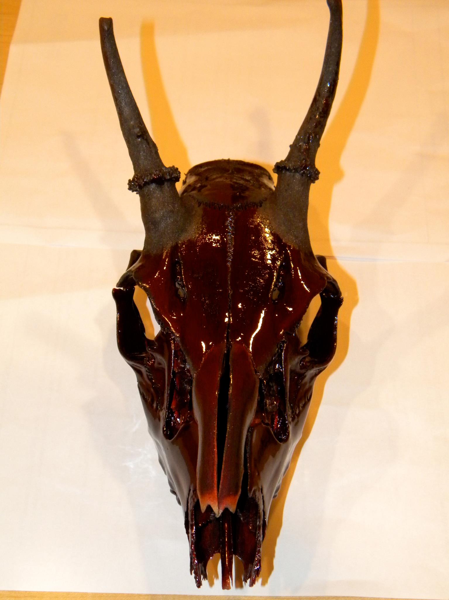 Jersey Devil Custom Coating