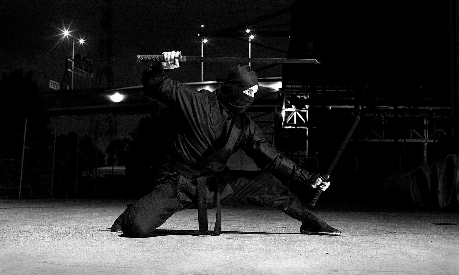 Tengoku no Ryu Ninjutsu