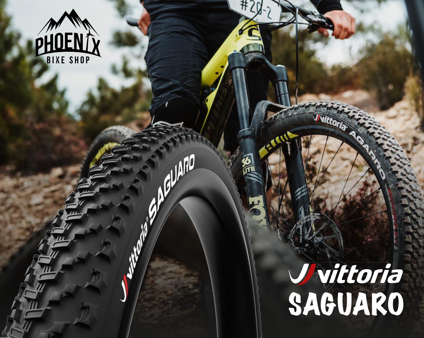 Phoenix Bike Shop - Vittoria Saguaro🚵🏻‍♂️🚵🏻‍♀️ Diseño de la banda de ...