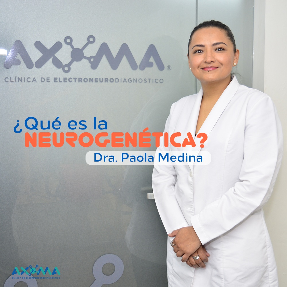 Axoma - La neurogenética es la ciencia que estudia las...