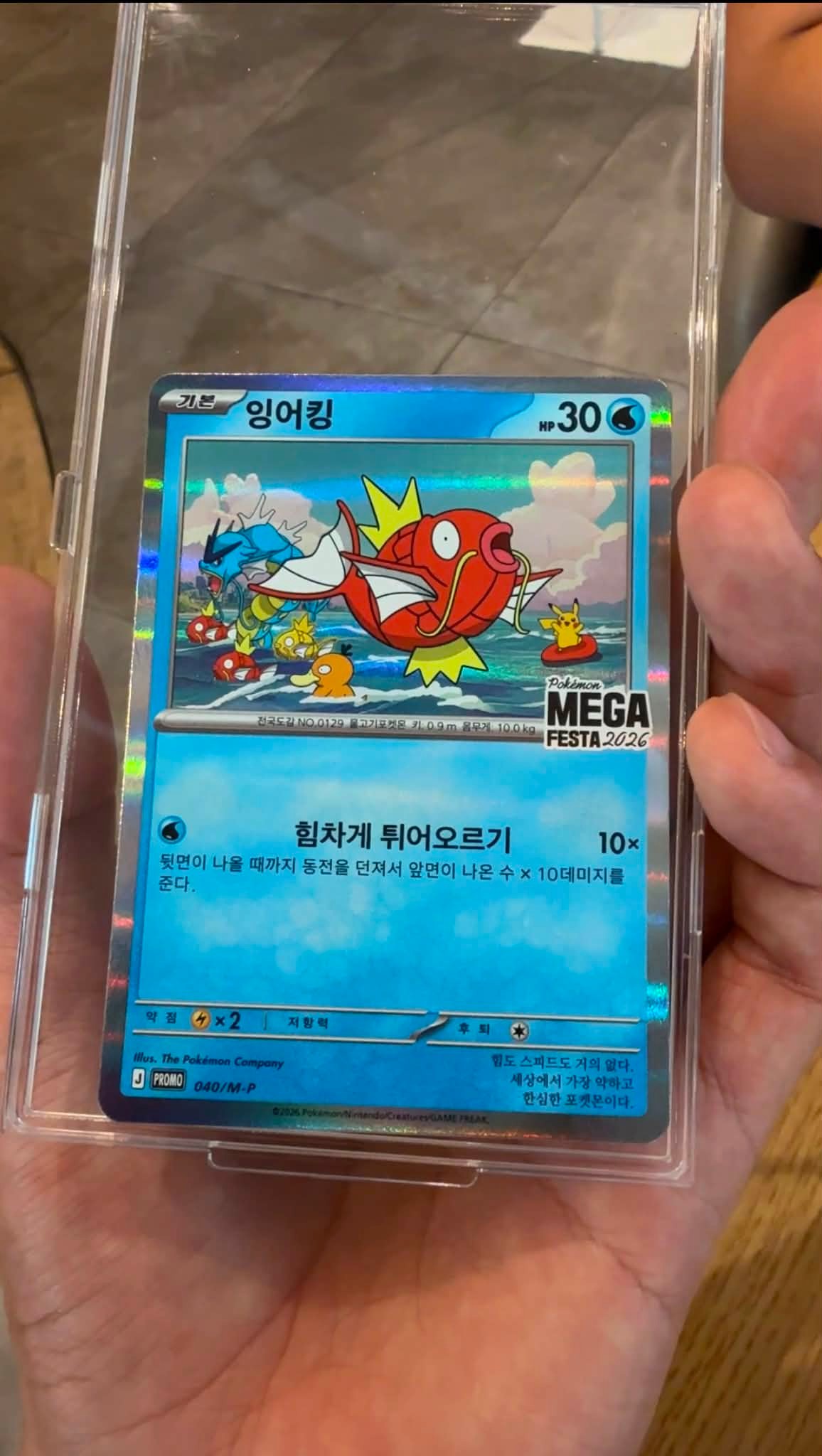 The Pokémon MEGA Festa 2026 promo card featuring Magikarp will be