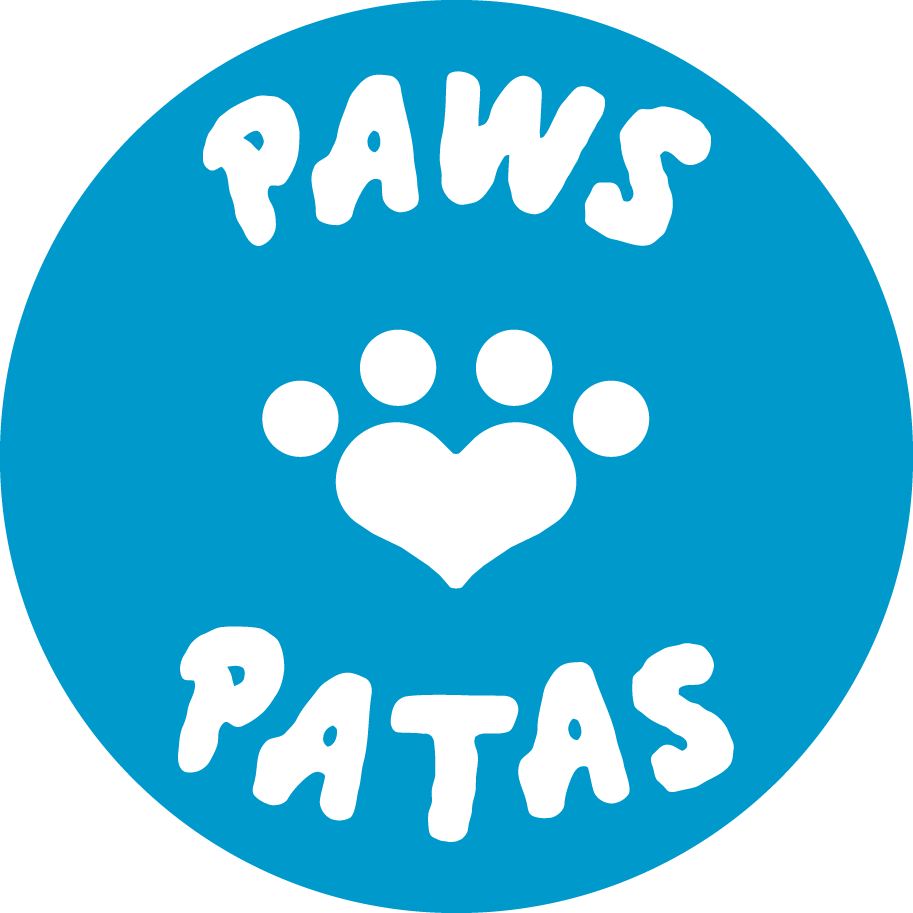 PAWS PATAS Animal Shelter on Reels