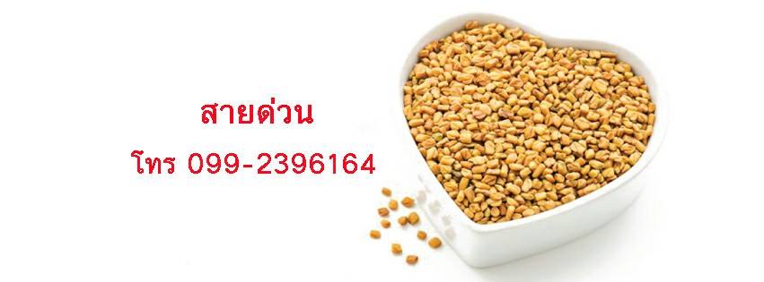 Healthy club สุขภาพคุณ ช ๅ ย