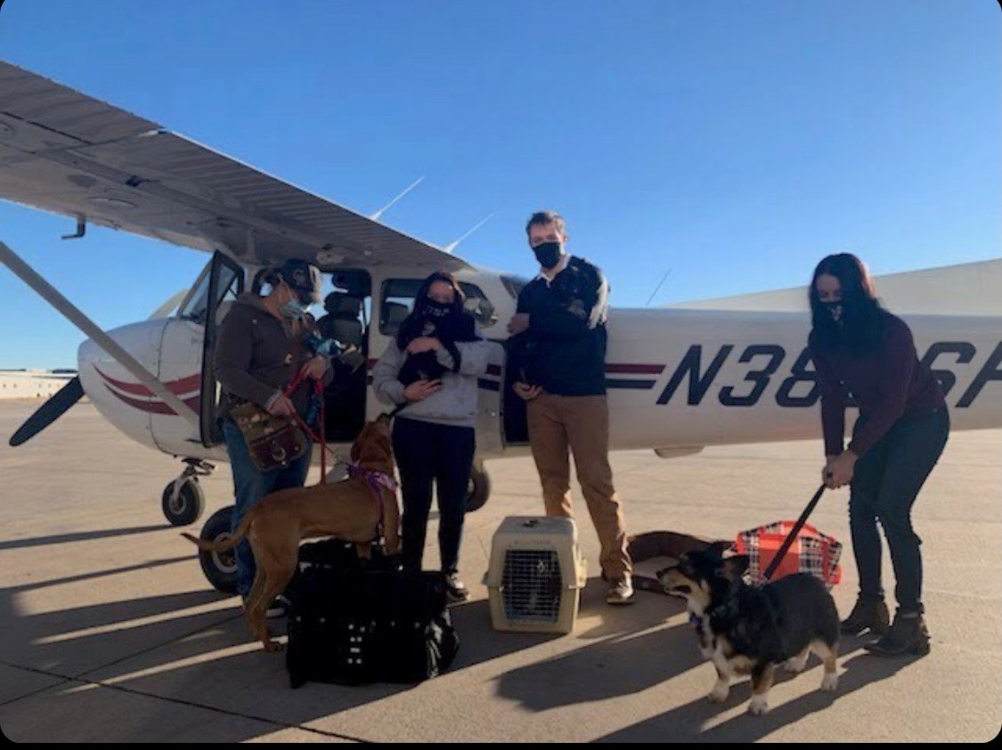 Pilots N Paws - Pilot Jack Rumpf has been very busy, along...