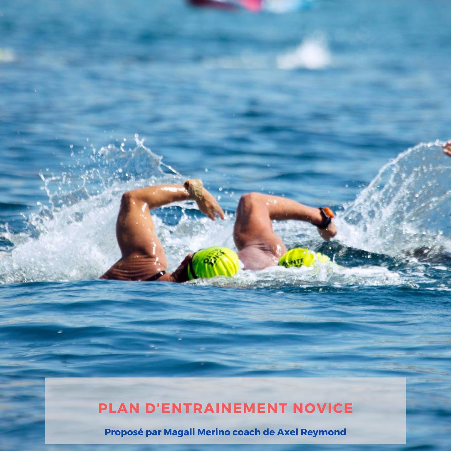 🏊🏼‍♀️[Plan... - Le Défi de Monte-Cristo [officiel] | Facebook