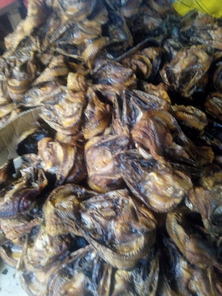 GFoods