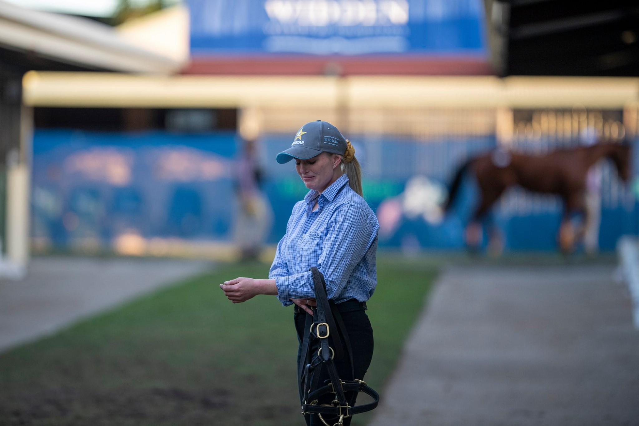 Magic Millions - The photo says it all. After putting her... | Facebook