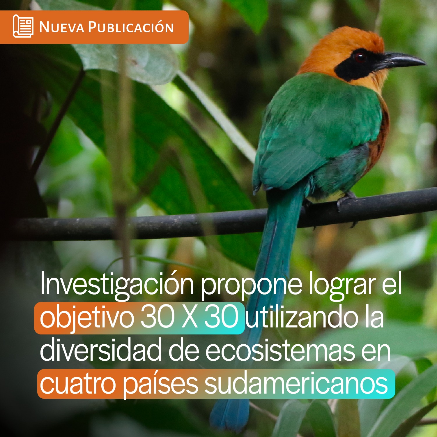 ️#NuevaPub... - Instituto Nacional de Biodiversidad - Ecuador