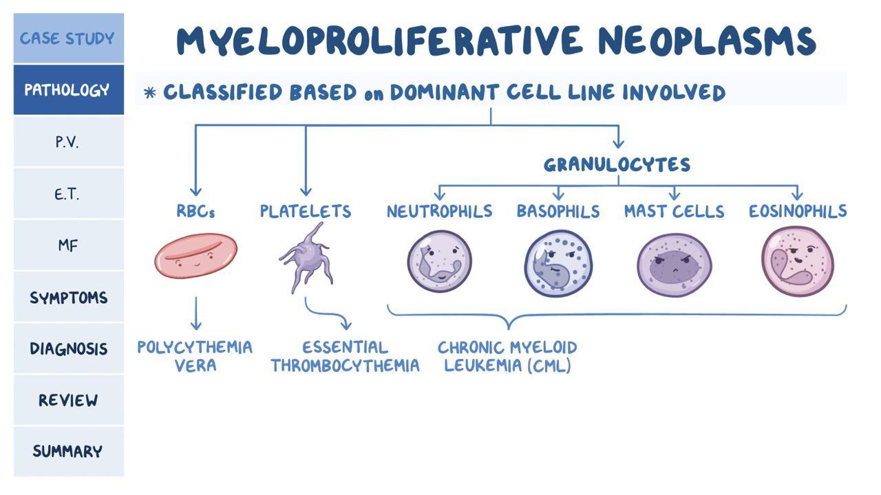 Cerba - Myeloproliferative neoplasms (MPNs) are a subset of bone marrow ...