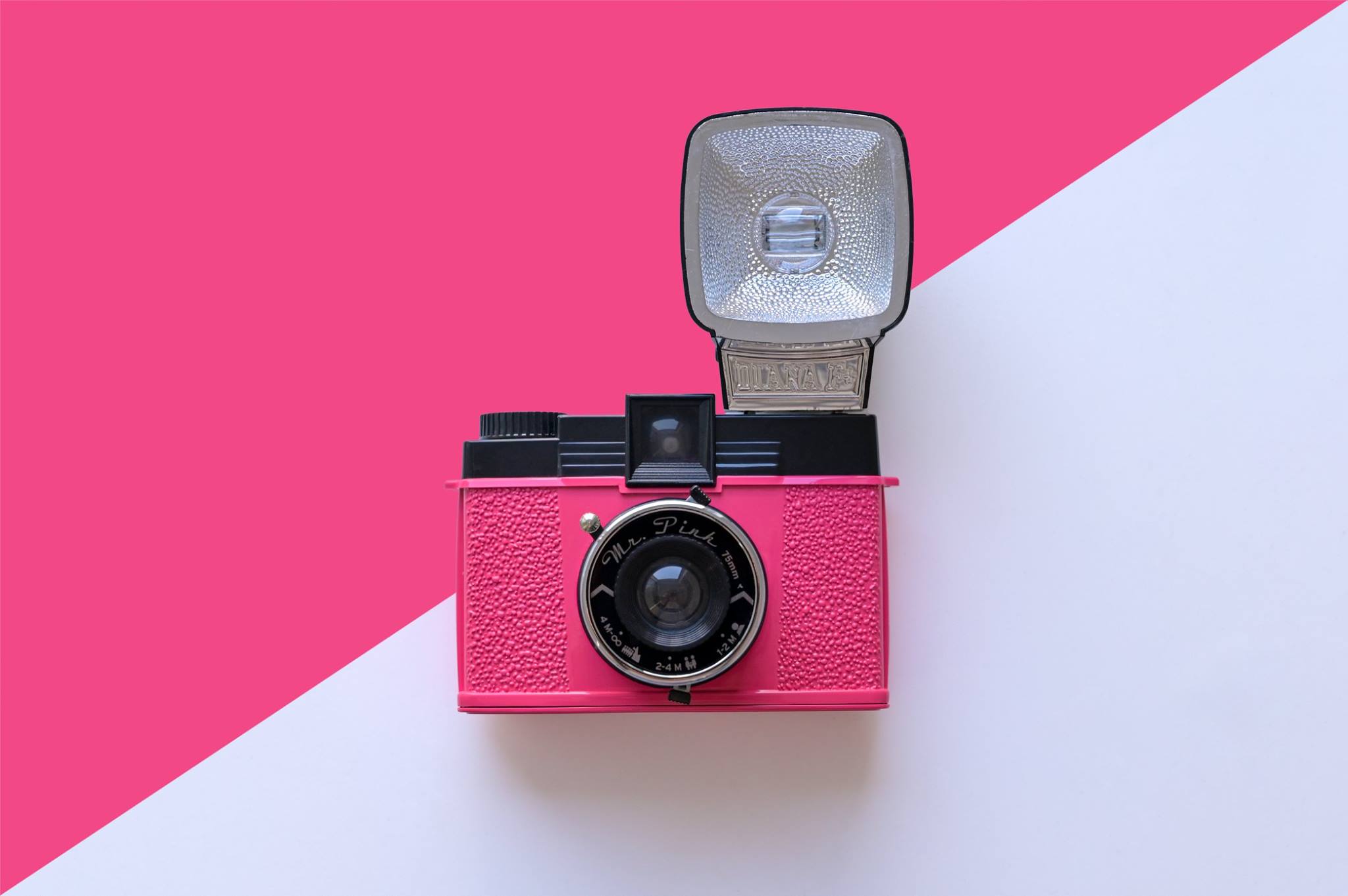 💮 Lomography Diana F+ Mr. Pink 💮 Take seductive, soft-focused
