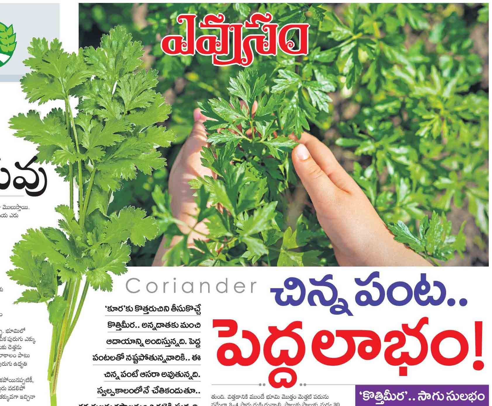 Rythu Badi