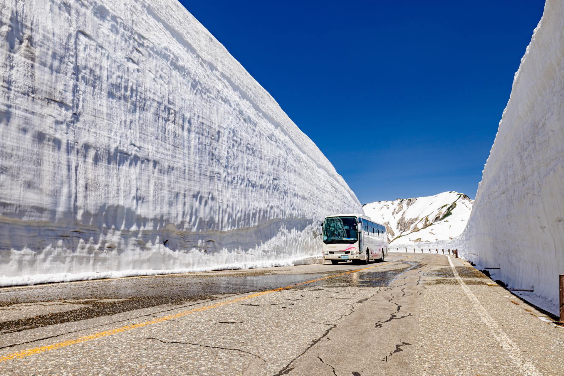 The famous Snow Corridor (a.k.a Yuki no Otani) in Toyama, Japan 🇯🇵
