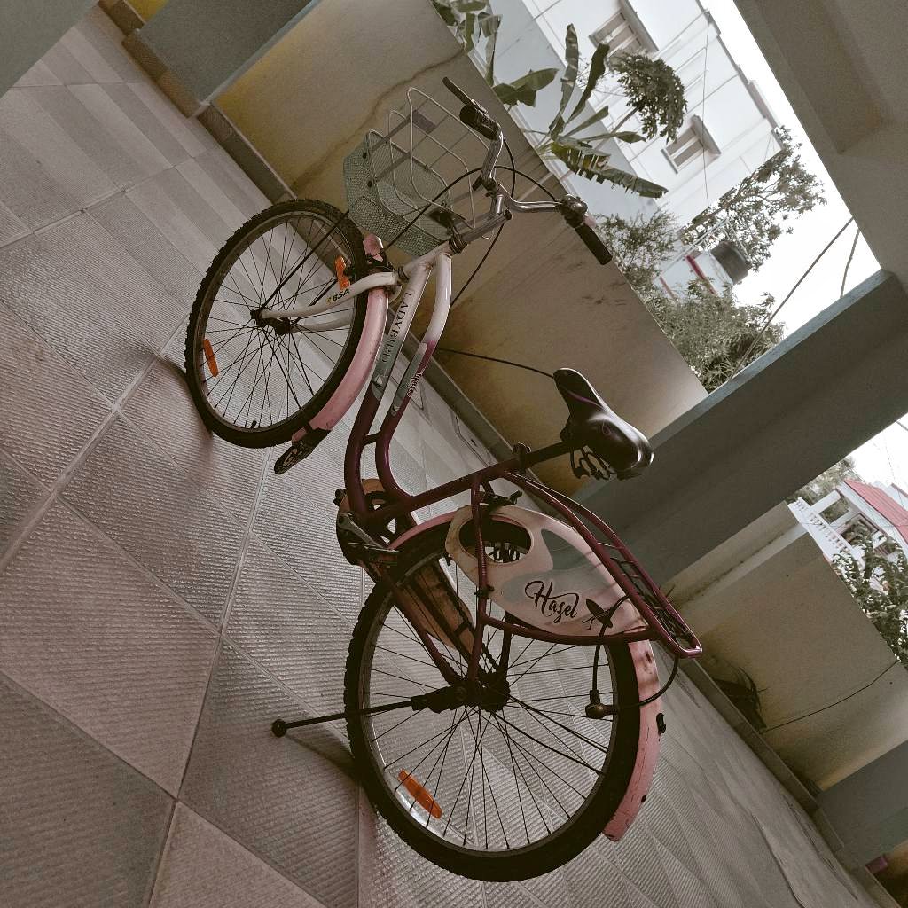 bianchi bicycle price in india Sprint 2026 - Shimano 105 2x12sp The Bianchi E From premium builds to elite