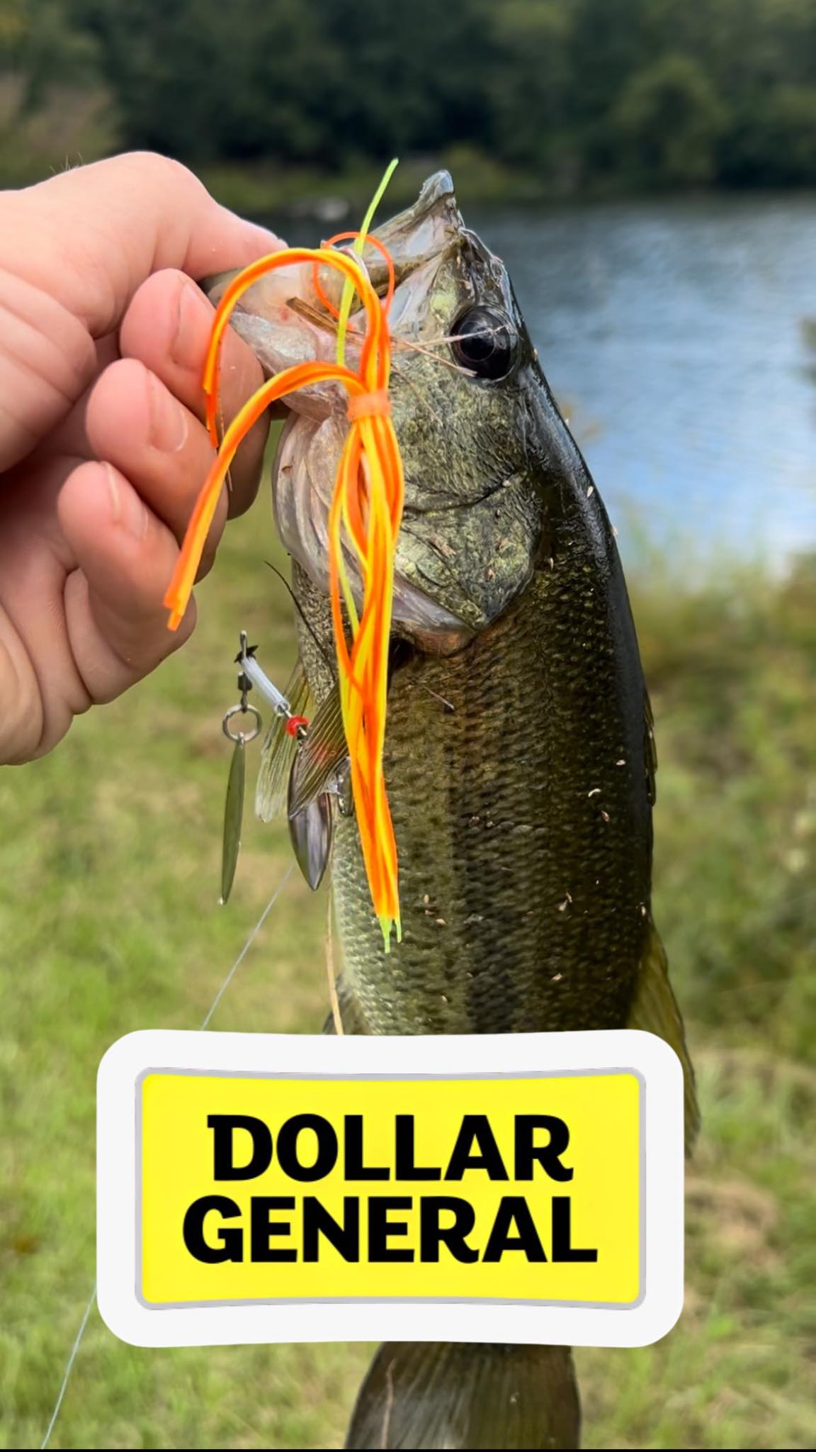 deadly dudley fishing lures Terror Tails Grub Bum Equipment, Chanteuse : Fishing Soft Plastic : Sports & Outdoors Ice Color:Sneaky Glaze Top 3 Ways to weighted heads and O
