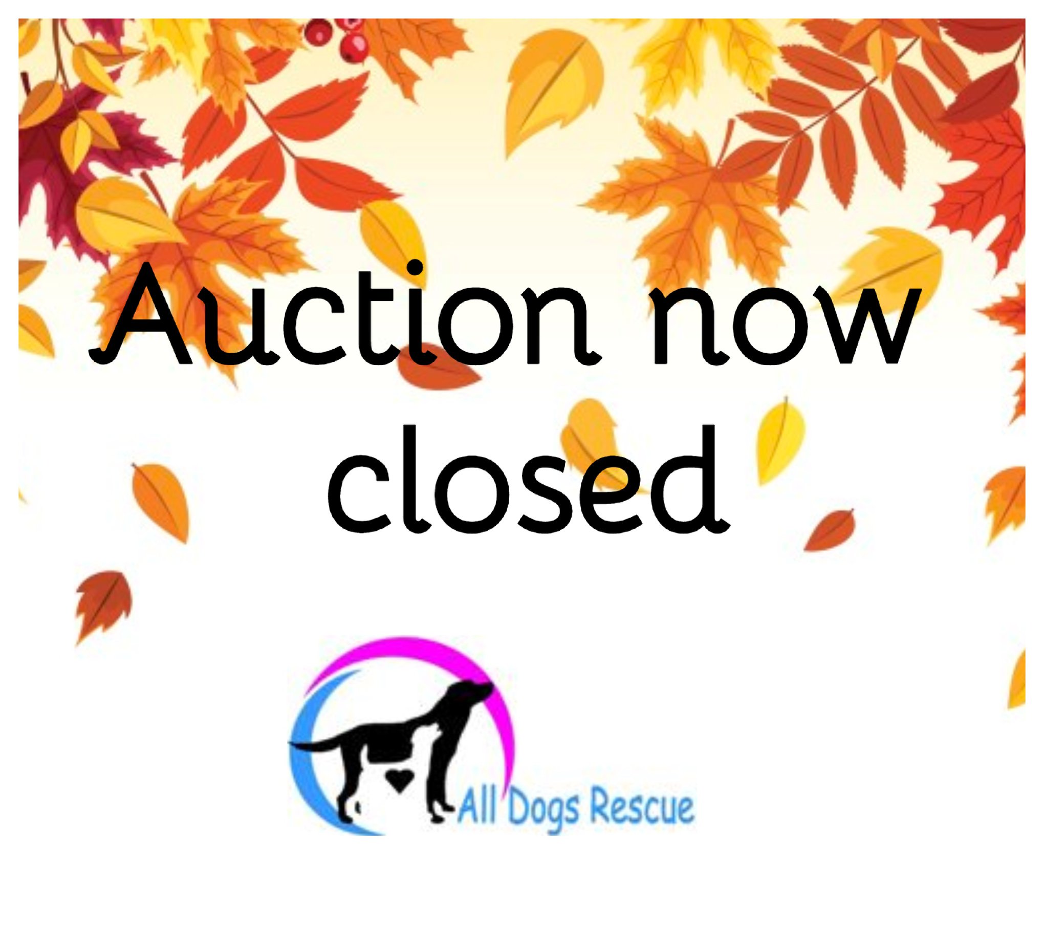 Our October auction... - All Dogs Rescue's Fundraising page