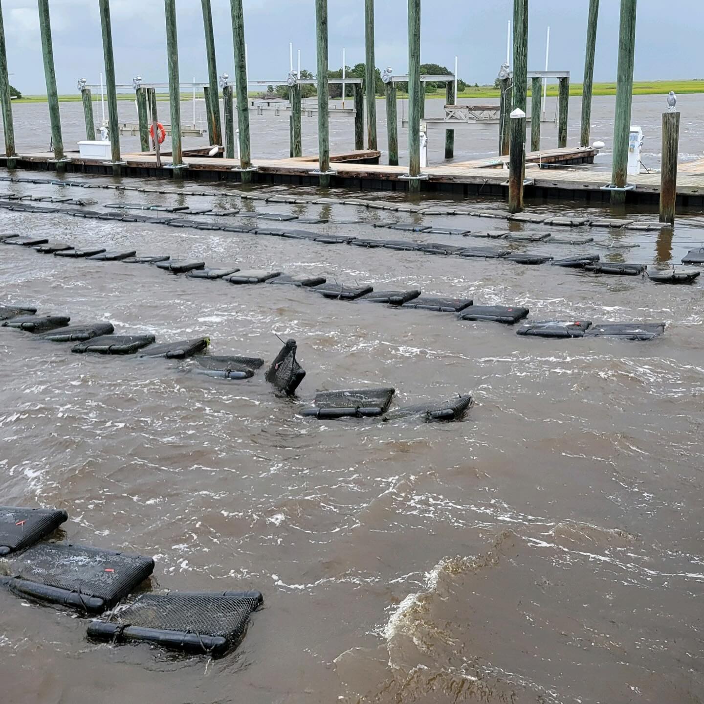 UNCW Coastal Ocean Research Monitoring Program