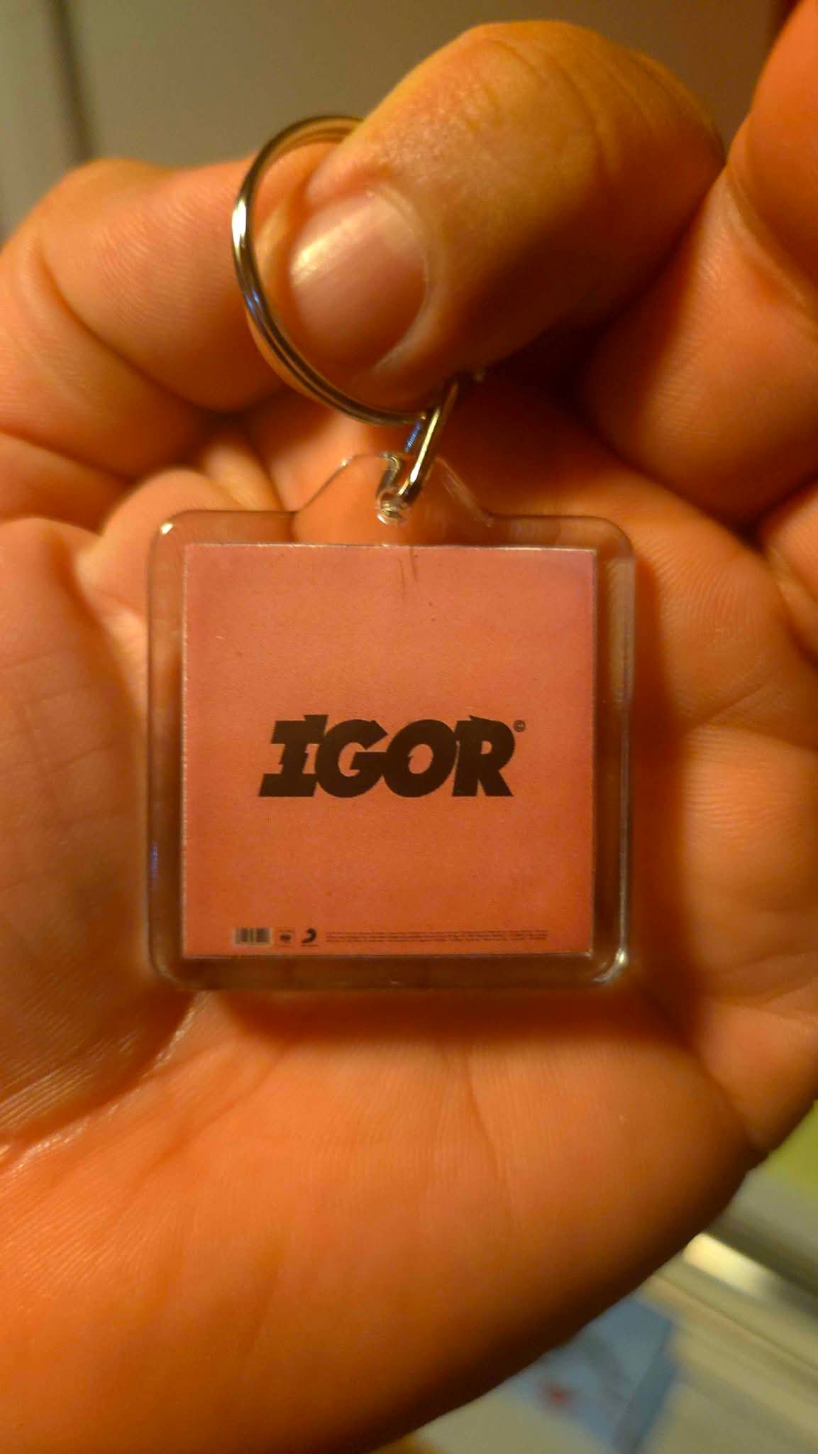 Custom Igor Tyler the Creator CD Album cover Art Keychain | Hanger ...