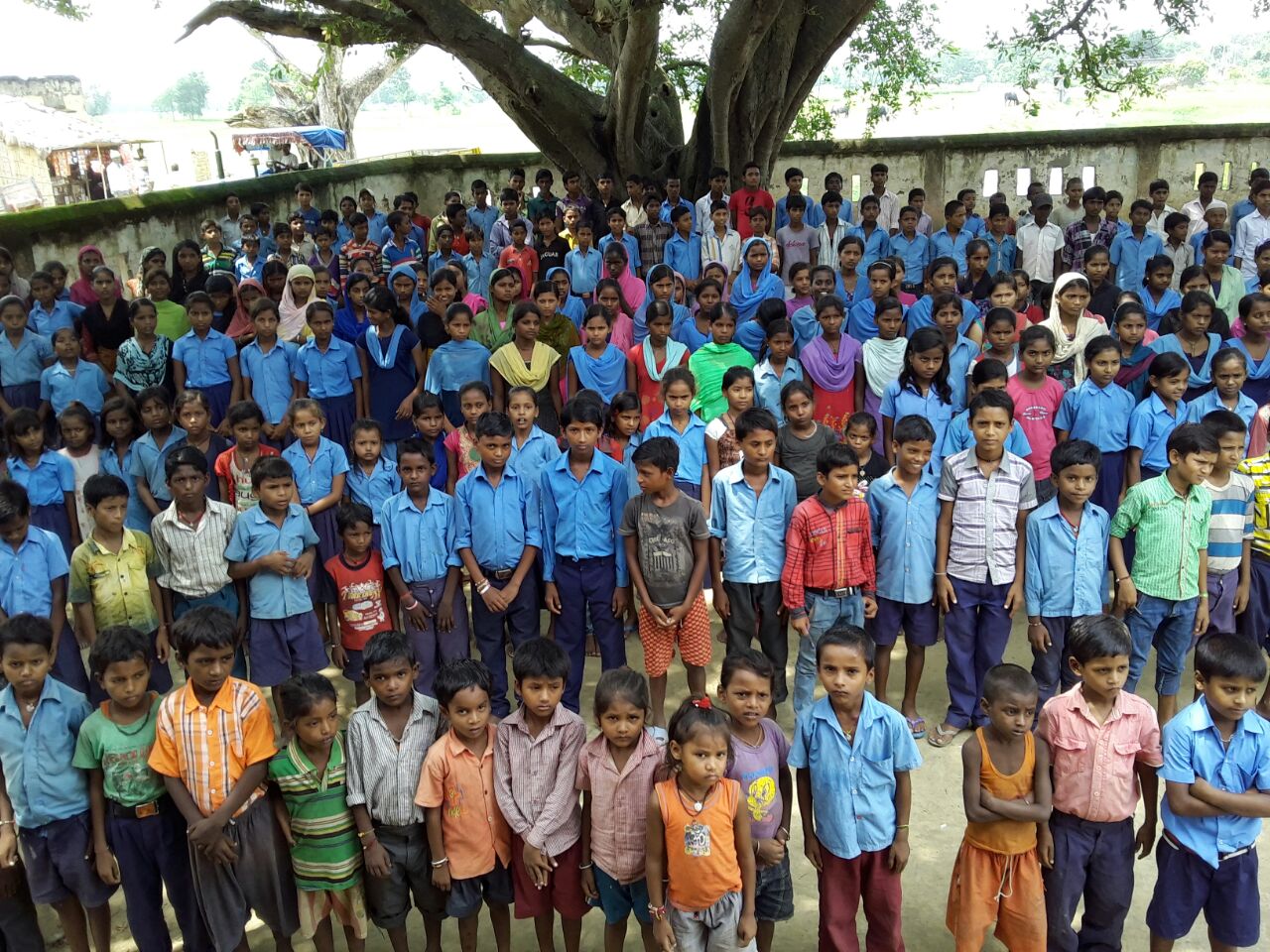 Jeevika, DPCU- Madhubani, BIHAR