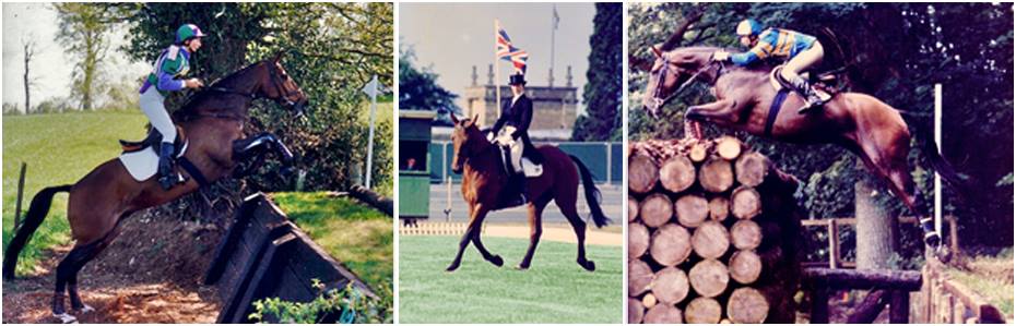Coaching the rider to train the horse. Karen Whiston BHSI